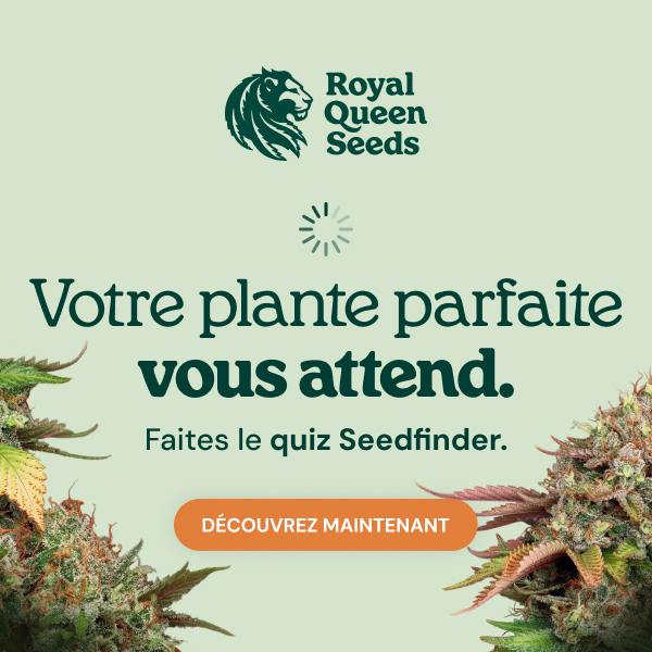  RQS-quiz_fr