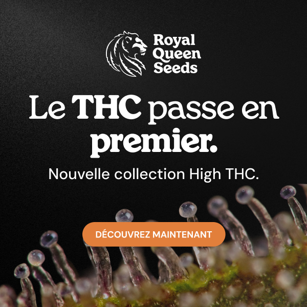  RQS-highthc_fr