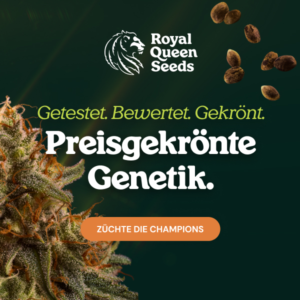  RQS-cupwinners_de