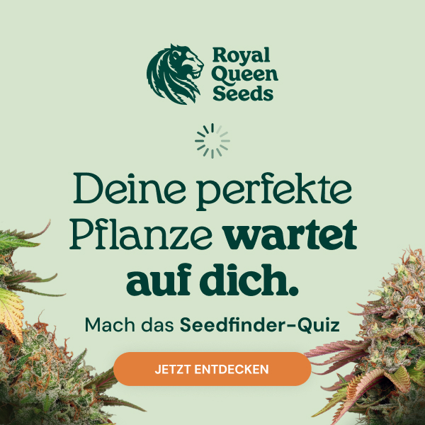  RQS-quiz_de