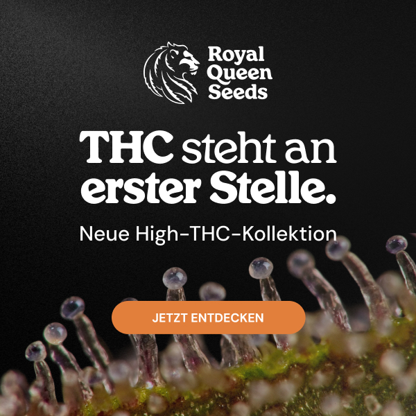  RQS-highthc_de