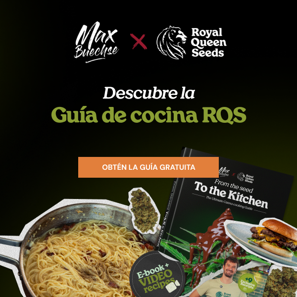 rqs_april26_es