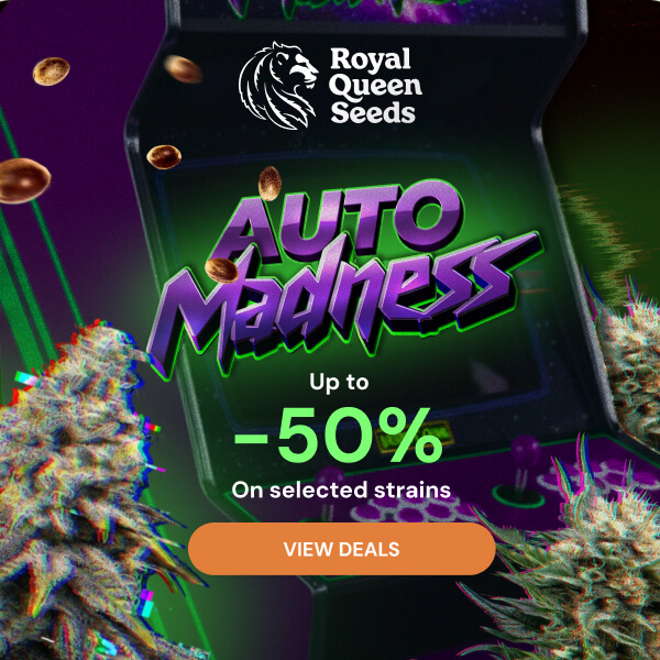 RQS_june26_automadness_en
