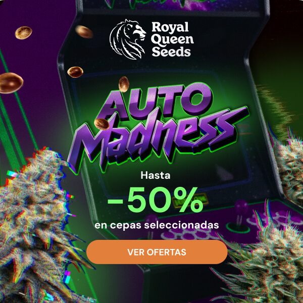  RQS_june26_automadness_es