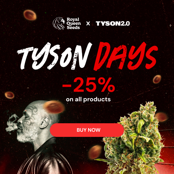 RQS_tyson_2026_en