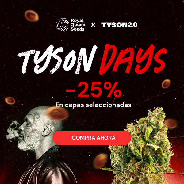 RQS_tyson_2026_es