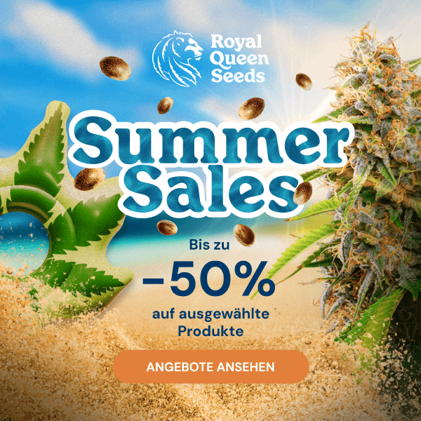 RQS_august_2026_de
