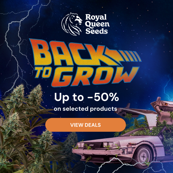RQS back to grow en