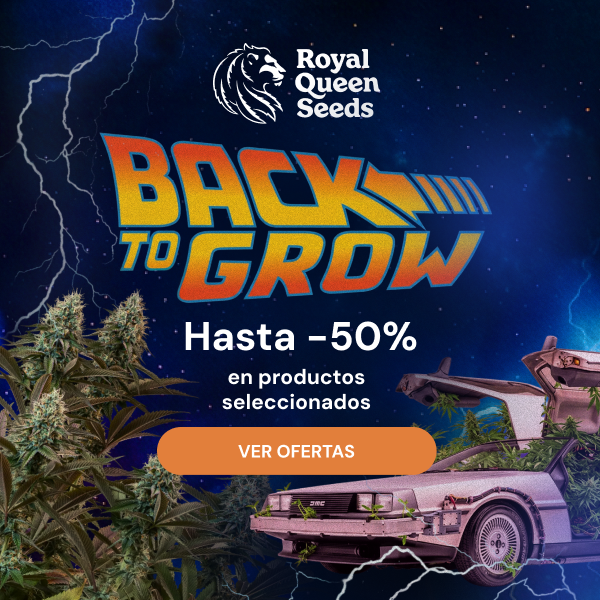  RQS back to grow es 