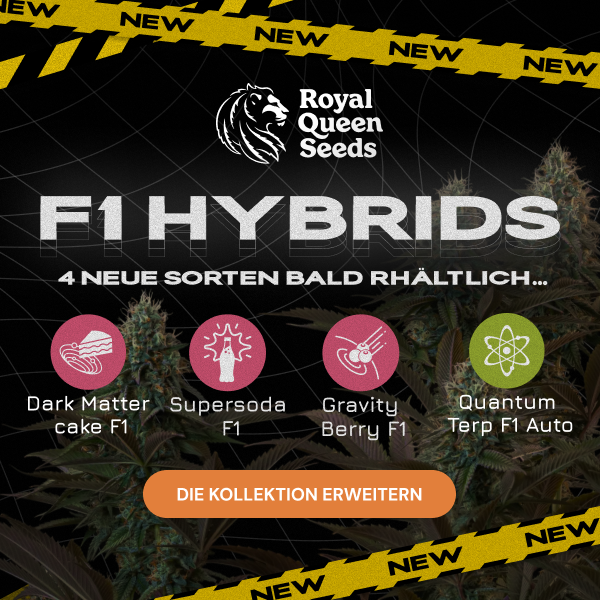 RQS-F1-hybrids-en