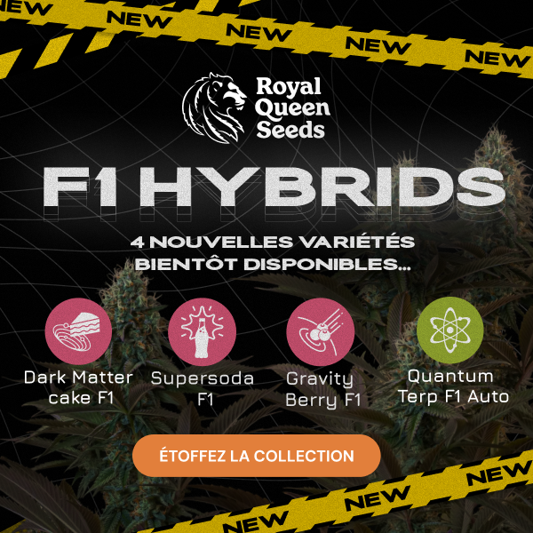  RQS-F1-hybrids-fr