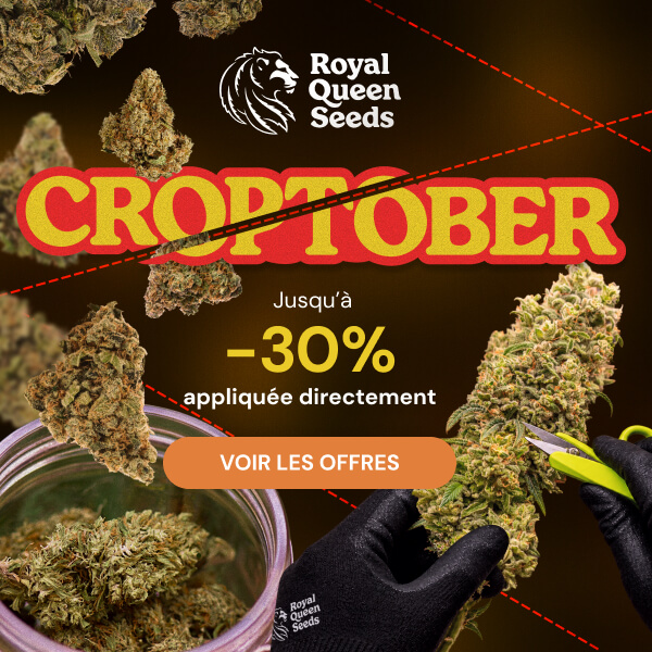 rqs_croptober_fr