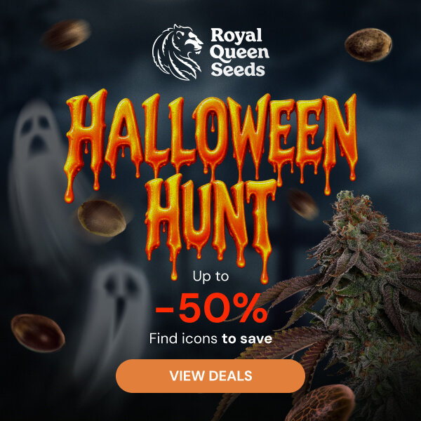 rqs_halloween_26_en