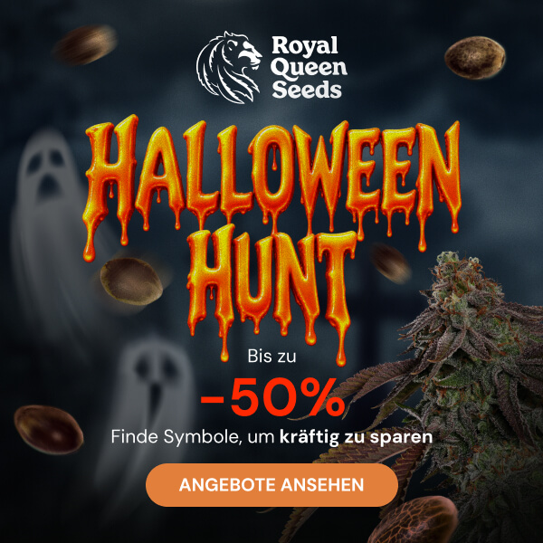 rqs_halloween_26_de
