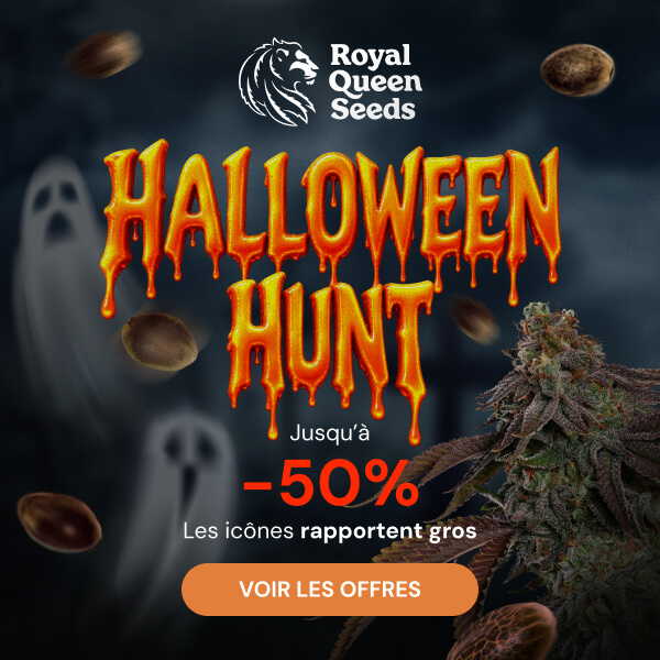 rqs_halloween_26_fr