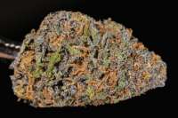An image of Grape Juice OG