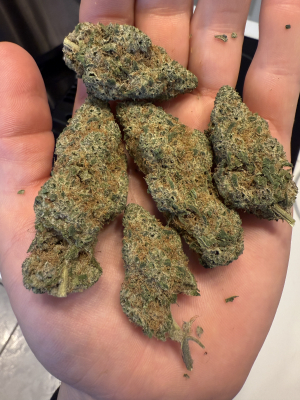 East Coast Sour Soda archive 3