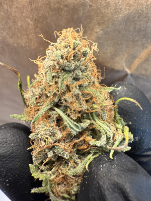 East Coast Sour Soda archive 2