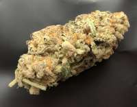 GMO: strain page photo, credit seedfinder.eu, copyright status shown with credit copyright unverified