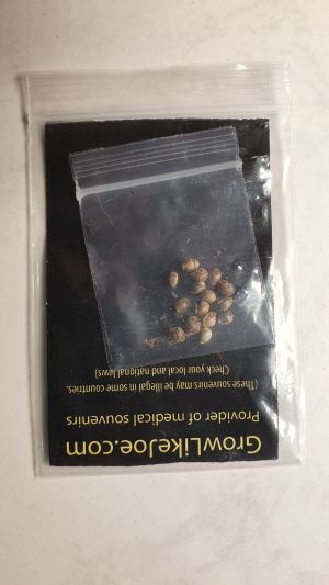 Nigerian Hashplant archive 1