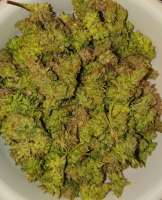 Rainbow Sherbert archive 3