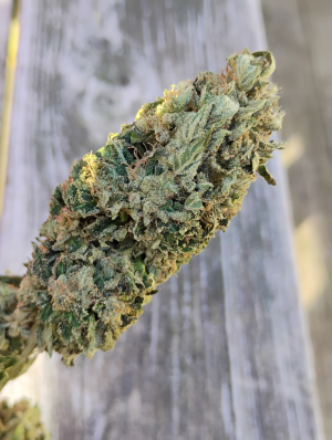 Dark Rainbow archive 2