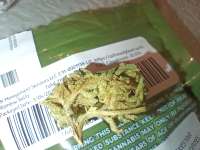 Rainbow Belts: strain page photo, credit seedfinder.eu, copyright status shown with credit copyright unverified