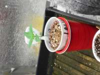 Laughing Buddha archive 2