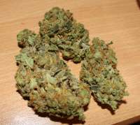 An image of Pineapple Chunk
