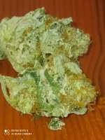 An image of Tropicanna Banana