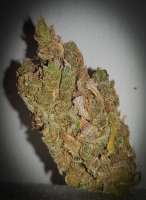 Cafe Racer archive 3