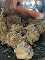 An image of Granola Funk