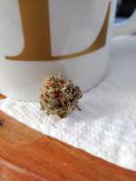 An image of Granola Funk