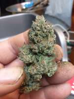 Jabba's Stash archive 3