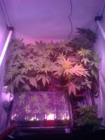 One To One archive 1