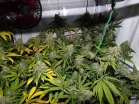 One To One archive 3