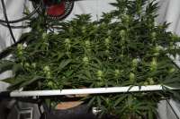 One To One archive 2