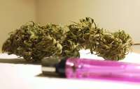 An image of Herijuana Jack 33