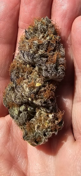 An image of Flaming Cookies