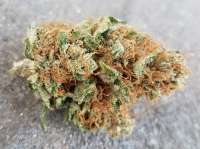 An image of Chem Berry OG