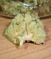 An image of Northern Lights x Skunk #1