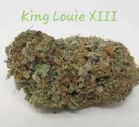 King Louis XIII archive 3