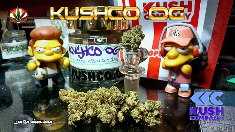 KushCo OG flower, as labeled by the cited photo source