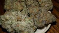 Image #06011761903204814