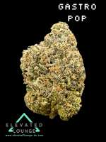An image of Gastro Pop