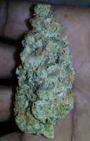 An image of Chem D Cookies