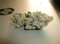 Rainbow Jones archive 2