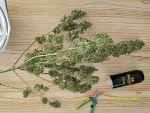 An image of Auto SMLE