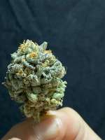 Bakers Delight archive 3