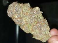 An image of Blue Tooth